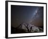 A Tree Shadow at Night under a Starry Sky with the Milky Way in the Namib Desert-Alex Saberi-Framed Photographic Print