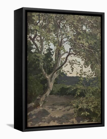 A Tree Study-Anna Nordlander-Framed Stretched Canvas