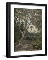 A Tree Study-Anna Nordlander-Framed Giclee Print