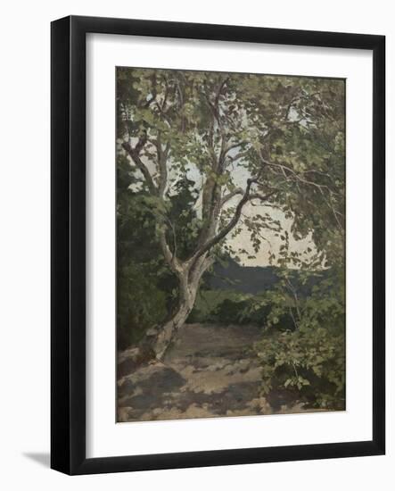 A Tree Study-Anna Nordlander-Framed Giclee Print