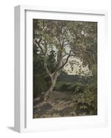 A Tree Study-Anna Nordlander-Framed Giclee Print