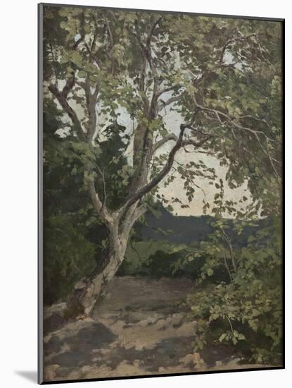 A Tree Study-Anna Nordlander-Mounted Giclee Print