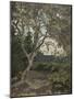 A Tree Study-Anna Nordlander-Mounted Giclee Print