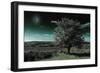 A Tree under a Night Sky-Mark Gemmell-Framed Photographic Print