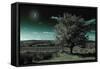 A Tree under a Night Sky-Mark Gemmell-Framed Stretched Canvas