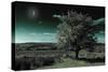 A Tree under a Night Sky-Mark Gemmell-Stretched Canvas