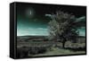 A Tree under a Night Sky-Mark Gemmell-Framed Stretched Canvas