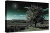 A Tree under a Night Sky-Mark Gemmell-Stretched Canvas