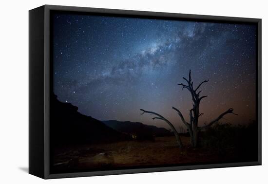 A Tree under a Starry Sky, with the Milky Way in the Namib Desert, Namibia-Alex Saberi-Framed Stretched Canvas