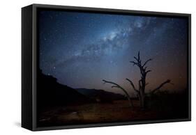 A Tree under a Starry Sky, with the Milky Way in the Namib Desert, Namibia-Alex Saberi-Framed Stretched Canvas