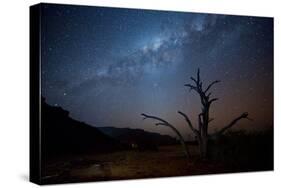 A Tree under a Starry Sky, with the Milky Way in the Namib Desert, Namibia-Alex Saberi-Stretched Canvas