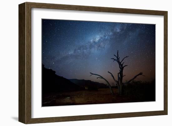 A Tree under a Starry Sky, with the Milky Way in the Namib Desert, Namibia-Alex Saberi-Framed Photographic Print