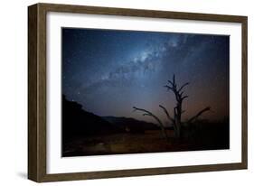 A Tree under a Starry Sky, with the Milky Way in the Namib Desert, Namibia-Alex Saberi-Framed Photographic Print