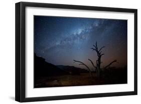 A Tree under a Starry Sky, with the Milky Way in the Namib Desert, Namibia-Alex Saberi-Framed Photographic Print