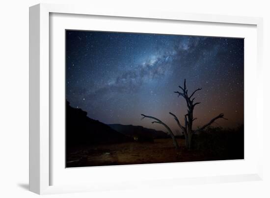 A Tree under a Starry Sky, with the Milky Way in the Namib Desert, Namibia-Alex Saberi-Framed Photographic Print