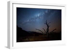 A Tree under a Starry Sky, with the Milky Way in the Namib Desert, Namibia-Alex Saberi-Framed Photographic Print