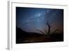 A Tree under a Starry Sky, with the Milky Way in the Namib Desert, Namibia-Alex Saberi-Framed Photographic Print