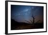 A Tree under a Starry Sky, with the Milky Way in the Namib Desert, Namibia-Alex Saberi-Framed Photographic Print