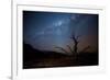A Tree under a Starry Sky, with the Milky Way in the Namib Desert, Namibia-Alex Saberi-Framed Photographic Print
