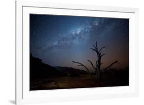 A Tree under a Starry Sky, with the Milky Way in the Namib Desert, Namibia-Alex Saberi-Framed Photographic Print