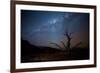 A Tree under a Starry Sky, with the Milky Way in the Namib Desert, Namibia-Alex Saberi-Framed Photographic Print