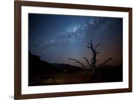 A Tree under a Starry Sky, with the Milky Way in the Namib Desert, Namibia-Alex Saberi-Framed Photographic Print