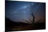 A Tree under a Starry Sky, with the Milky Way in the Namib Desert, Namibia-Alex Saberi-Mounted Photographic Print