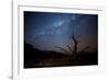 A Tree under a Starry Sky, with the Milky Way in the Namib Desert, Namibia-Alex Saberi-Framed Photographic Print