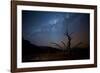 A Tree under a Starry Sky, with the Milky Way in the Namib Desert, Namibia-Alex Saberi-Framed Photographic Print