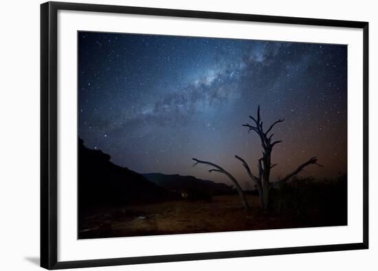 A Tree under a Starry Sky, with the Milky Way in the Namib Desert, Namibia-Alex Saberi-Framed Photographic Print