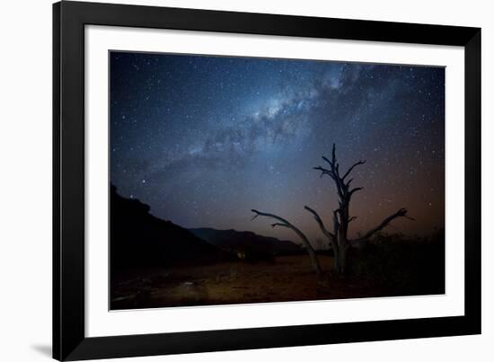 A Tree under a Starry Sky, with the Milky Way in the Namib Desert, Namibia-Alex Saberi-Framed Photographic Print