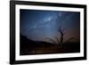 A Tree under a Starry Sky, with the Milky Way in the Namib Desert, Namibia-Alex Saberi-Framed Photographic Print