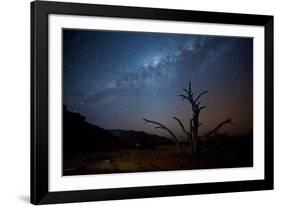 A Tree under a Starry Sky, with the Milky Way in the Namib Desert, Namibia-Alex Saberi-Framed Photographic Print