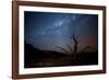 A Tree under a Starry Sky, with the Milky Way in the Namib Desert, Namibia-Alex Saberi-Framed Photographic Print