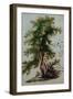 A Tree with Two Birds Perching on a Branch-Paul Brill or Bril-Framed Giclee Print