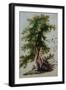 A Tree with Two Birds Perching on a Branch-Paul Brill or Bril-Framed Giclee Print
