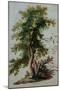 A Tree with Two Birds Perching on a Branch-Paul Brill or Bril-Mounted Giclee Print