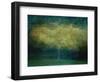 A tree-Katarina Holmstrom-Framed Photographic Print