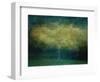 A tree-Katarina Holmstrom-Framed Photographic Print