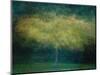 A tree-Katarina Holmstrom-Mounted Photographic Print