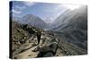 A Trekker on the Everest Base Camp Trail, Nepal-David Noyes-Stretched Canvas