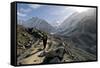 A Trekker on the Everest Base Camp Trail, Nepal-David Noyes-Framed Stretched Canvas