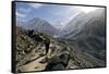 A Trekker on the Everest Base Camp Trail, Nepal-David Noyes-Framed Stretched Canvas