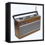 A Trendy Roberts 'R' Portable Radio-null-Framed Stretched Canvas