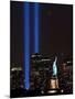 A Tribute in Light-null-Mounted Photographic Print