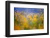 A Tribute to Monet-null-Framed Art Print