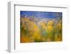 A Tribute to Monet-null-Framed Art Print