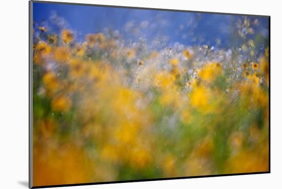 A Tribute to Monet-null-Mounted Art Print