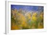 A Tribute to Monet-Andrew George-Framed Photographic Print