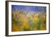 A Tribute to Monet-Andrew George-Framed Photographic Print